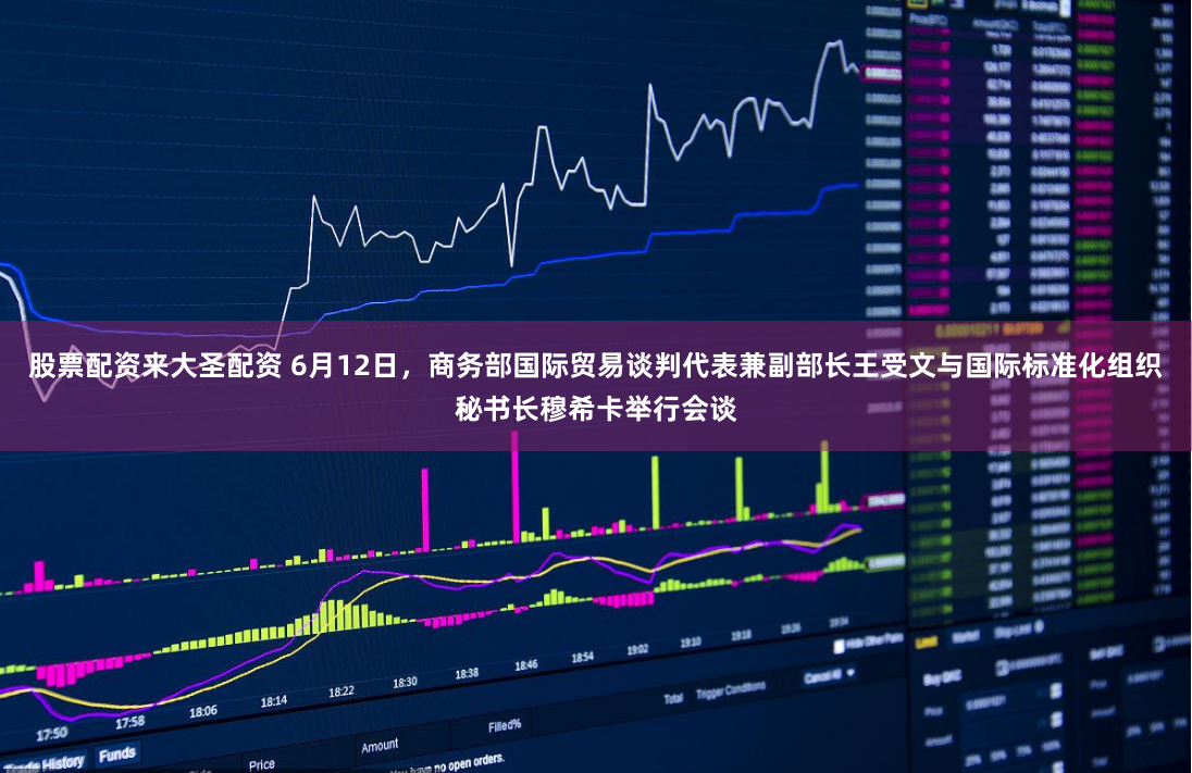 股票配资来大圣配资 6月12日，商务部国际贸易谈判代表兼副部长王受文与国际标准化组织秘书长穆希卡举行会谈