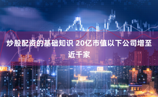炒股配资的基础知识 20亿市值以下公司增至近千家